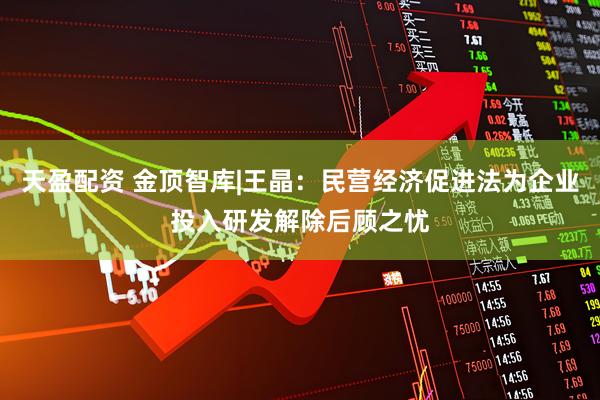 天盈配资 金顶智库|王晶：民营经济促进法为企业投入研发解除后顾之忧