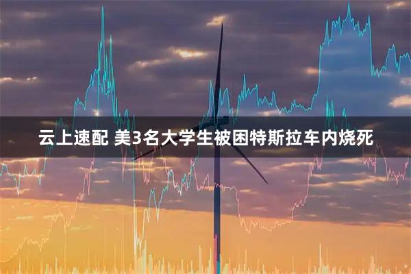 云上速配 美3名大学生被困特斯拉车内烧死