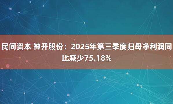 民间资本 神开股份：2025年第三季度归母净利润同比减少75.18%
