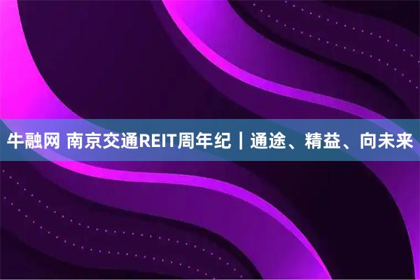 牛融网 南京交通REIT周年纪｜通途、精益、向未来