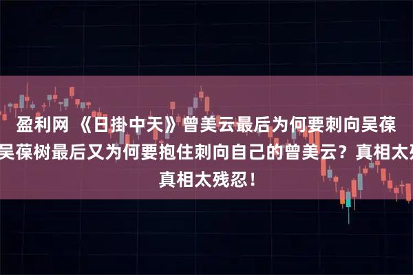 盈利网 《日掛中天》曾美云最后为何要刺向吴葆树？吴葆树最后又为何要抱住刺向自己的曾美云？真相太残忍！