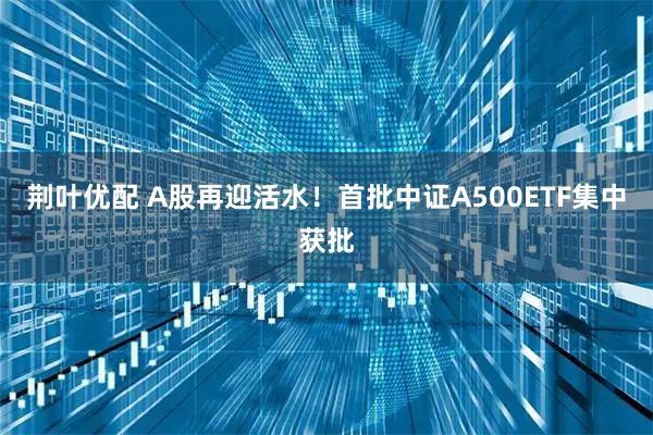 荆叶优配 A股再迎活水！首批中证A500ETF集中获批