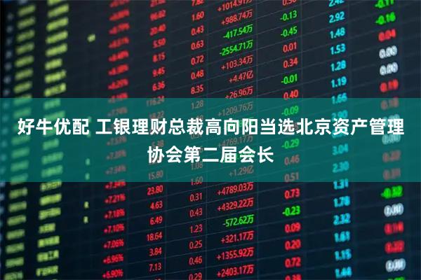 好牛优配 工银理财总裁高向阳当选北京资产管理协会第二届会长