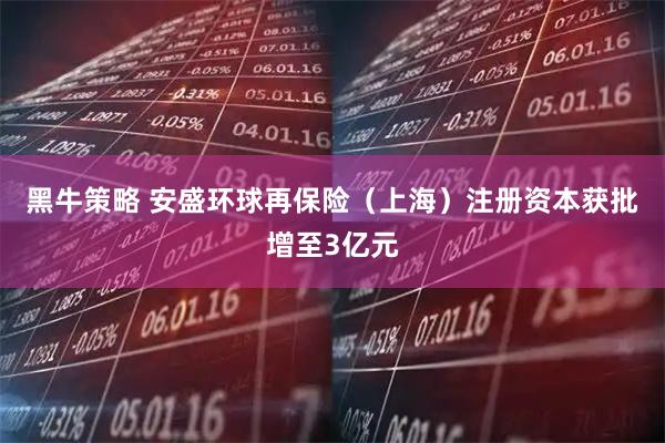 黑牛策略 安盛环球再保险（上海）注册资本获批增至3亿元