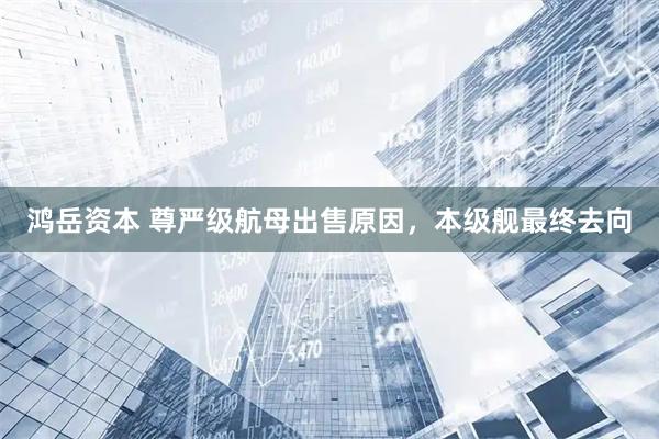 鸿岳资本 尊严级航母出售原因，本级舰最终去向