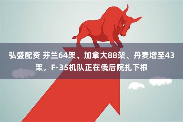 弘盛配资 芬兰64架、加拿大88架、丹麦增至43架，F-35机队正在俄后院扎下根